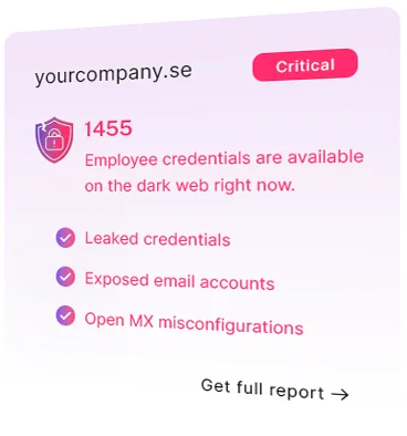 eBuilder Security Domain Breach Checker resultatkort