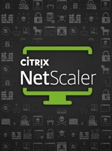 Attackers Exploited Citrix NetScaler Zero-Days for Weeks Before Disclosure